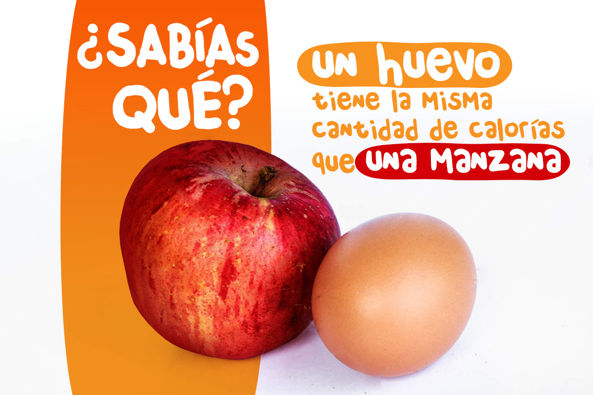 Un huevo tiene la misma cantidad de calorias que una manzana